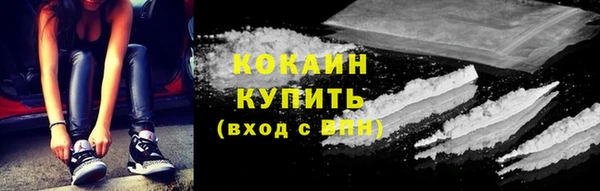 гидра Липки