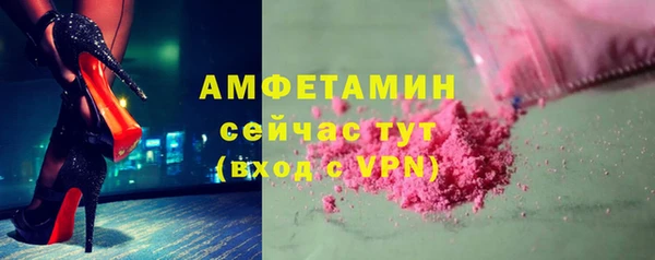 ECSTASY Пересвет