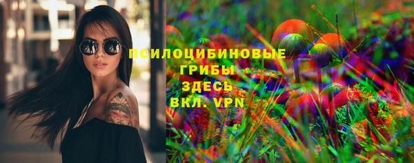стаф Ладушкин